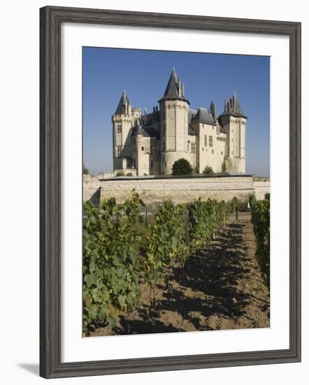 Vineyards around the Chateau De Saumur, Maine-et-Loire, Pays De La Loire, France, Europe-James Emmerson-Framed Photographic Print