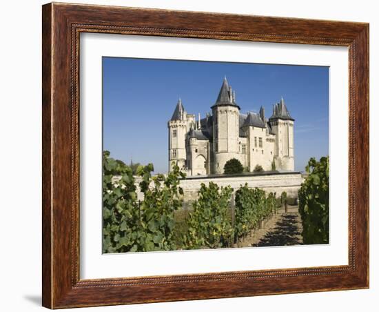 Vineyards around the Chateau De Saumur, Maine-et-Loire, Pays De La Loire, France, Europe-James Emmerson-Framed Photographic Print