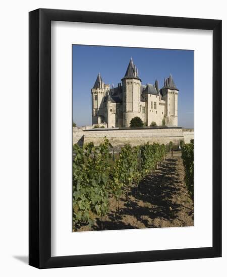 Vineyards around the Chateau De Saumur, Maine-et-Loire, Pays De La Loire, France, Europe-James Emmerson-Framed Photographic Print