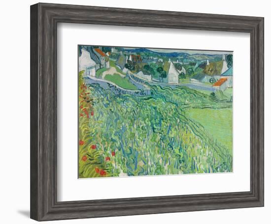 Vineyards at Auvers, June 1890-Vincent van Gogh-Framed Giclee Print