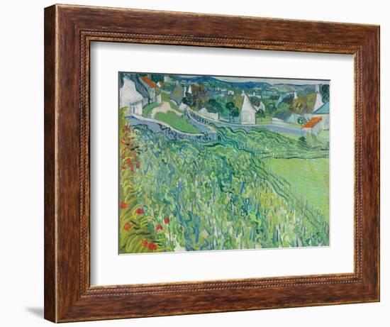 Vineyards at Auvers, June 1890-Vincent van Gogh-Framed Giclee Print