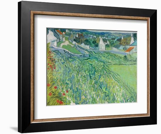 Vineyards at Auvers, June 1890-Vincent van Gogh-Framed Giclee Print