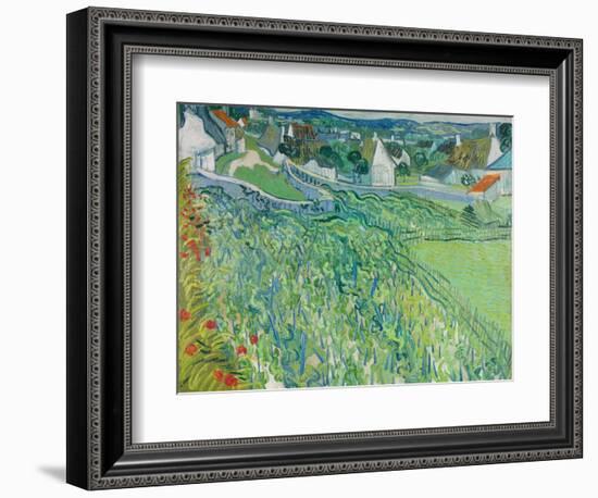 Vineyards at Auvers, June 1890-Vincent van Gogh-Framed Giclee Print