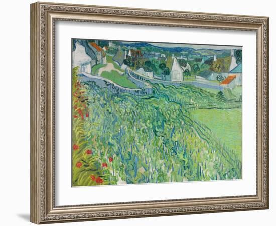 Vineyards at Auvers, June 1890-Vincent van Gogh-Framed Giclee Print