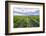 Vineyards at Bodega La Azul, a Wine Region in Mendoza Province, Argentina-Matthew Williams-Ellis-Framed Photographic Print