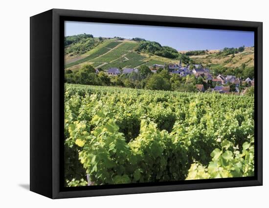 Vineyards at Bue, Near Sancerre, Loire Centre, France-Michael Busselle-Framed Premier Image Canvas