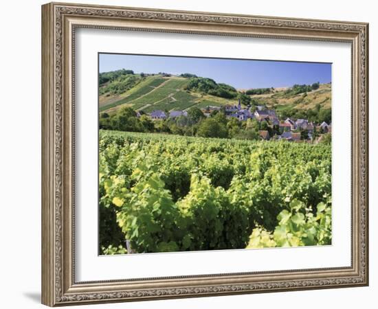 Vineyards at Bue, Near Sancerre, Loire Centre, France-Michael Busselle-Framed Photographic Print