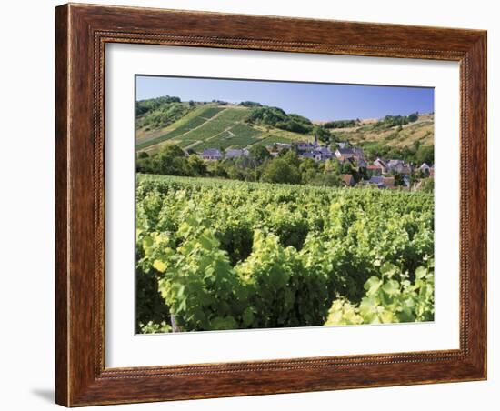 Vineyards at Bue, Near Sancerre, Loire Centre, France-Michael Busselle-Framed Photographic Print