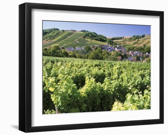 Vineyards at Bue, Near Sancerre, Loire Centre, France-Michael Busselle-Framed Photographic Print