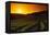Vineyards at Sunset-Charles O'Rear-Framed Premier Image Canvas