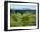 Vineyards Below Small Houses, with Hills in the Background in the Zagorje Region of Croatia, Europe-Ken Gillham-Framed Photographic Print