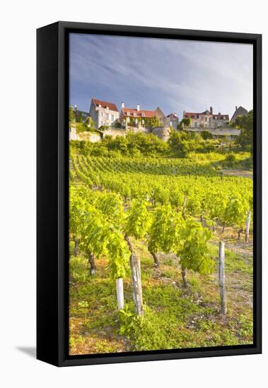 Vineyards Below the Hilltop Village of Vezelay, Yonne, Burgundy, France, Europe-Julian Elliott-Framed Premier Image Canvas