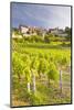 Vineyards Below the Hilltop Village of Vezelay, Yonne, Burgundy, France, Europe-Julian Elliott-Mounted Photographic Print