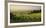 Vineyards Between Baden Bei Wien and Gumpoldskirchen, Vienna Basin, Lower Austria, Austria-Rainer Mirau-Framed Photographic Print