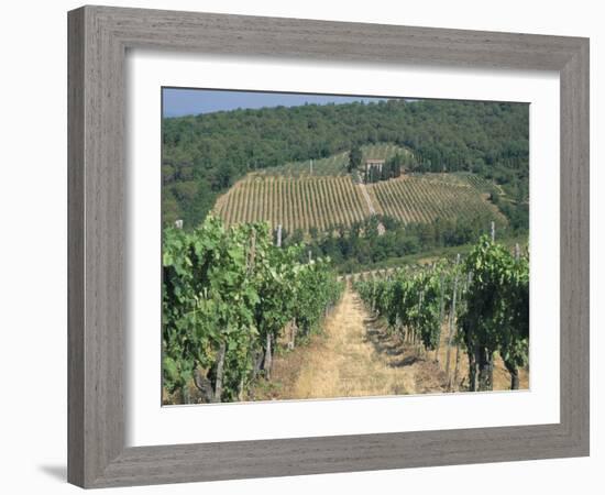 Vineyards, Chianti, Tuscany, Italy, Europe-Sergio Pitamitz-Framed Photographic Print