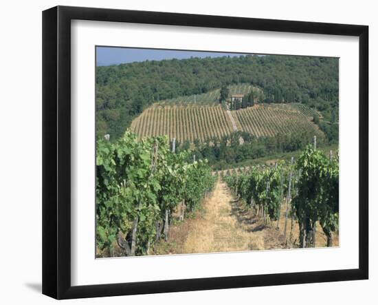 Vineyards, Chianti, Tuscany, Italy, Europe-Sergio Pitamitz-Framed Photographic Print