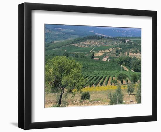 Vineyards, Chianti, Tuscany, Italy, Europe-Sergio Pitamitz-Framed Photographic Print