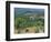 Vineyards, Chianti, Tuscany, Italy, Europe-Sergio Pitamitz-Framed Photographic Print