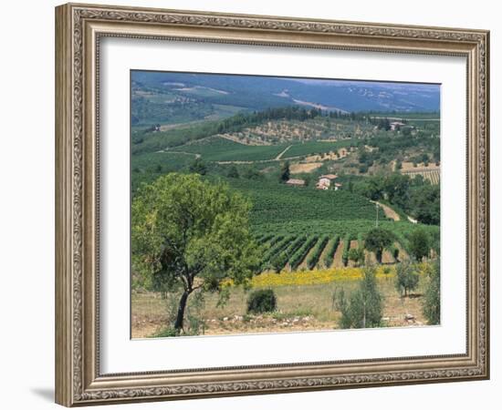 Vineyards, Chianti, Tuscany, Italy, Europe-Sergio Pitamitz-Framed Photographic Print