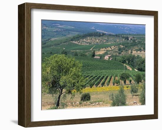 Vineyards, Chianti, Tuscany, Italy, Europe-Sergio Pitamitz-Framed Photographic Print