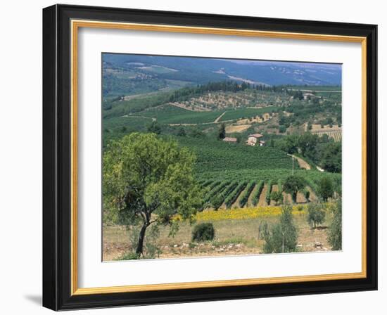 Vineyards, Chianti, Tuscany, Italy, Europe-Sergio Pitamitz-Framed Photographic Print