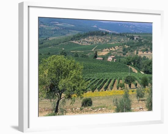 Vineyards, Chianti, Tuscany, Italy, Europe-Sergio Pitamitz-Framed Photographic Print