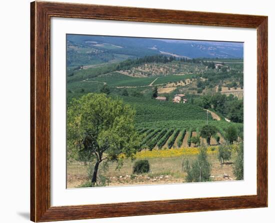 Vineyards, Chianti, Tuscany, Italy, Europe-Sergio Pitamitz-Framed Photographic Print