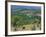 Vineyards, Chianti, Tuscany, Italy, Europe-Sergio Pitamitz-Framed Photographic Print