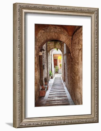 Vineyards Draping Hillsides Near Monte Falco-Terry Eggers-Framed Photographic Print