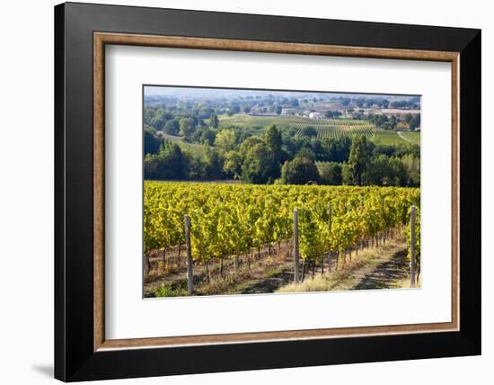 Vineyards Draping Hillsides Near Monte Falco-Terry Eggers-Framed Photographic Print