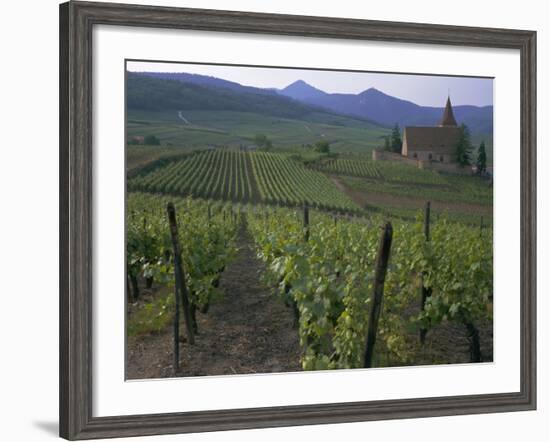 Vineyards, Hunawihr, Alsace, France-Guy Thouvenin-Framed Photographic Print