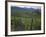 Vineyards, Hunawihr, Alsace, France-Guy Thouvenin-Framed Photographic Print