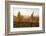 Vineyards in Autumn at Sunset, Stuttgart, Baden-Wurttemberg, Germany, Europe-Markus Lange-Framed Photographic Print