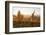 Vineyards in Autumn at Sunset, Stuttgart, Baden-Wurttemberg, Germany, Europe-Markus Lange-Framed Photographic Print