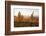 Vineyards in Autumn at Sunset, Stuttgart, Baden-Wurttemberg, Germany, Europe-Markus Lange-Framed Photographic Print