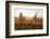 Vineyards in Autumn at Sunset, Stuttgart, Baden-Wurttemberg, Germany, Europe-Markus Lange-Framed Photographic Print