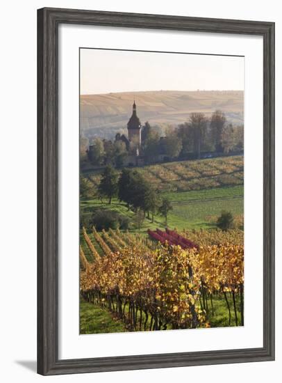 Vineyards in Autumn, German Wine Route, Pfalz, Rhineland-Palatinate, Germany, Europe-Marcus Lange-Framed Photographic Print