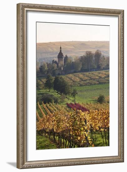 Vineyards in Autumn, German Wine Route, Pfalz, Rhineland-Palatinate, Germany, Europe-Marcus Lange-Framed Photographic Print