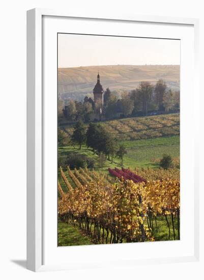 Vineyards in Autumn, German Wine Route, Pfalz, Rhineland-Palatinate, Germany, Europe-Marcus Lange-Framed Photographic Print