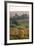 Vineyards in Autumn, German Wine Route, Pfalz, Rhineland-Palatinate, Germany, Europe-Marcus Lange-Framed Photographic Print