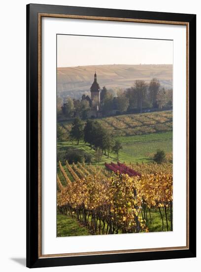 Vineyards in Autumn, German Wine Route, Pfalz, Rhineland-Palatinate, Germany, Europe-Marcus Lange-Framed Photographic Print