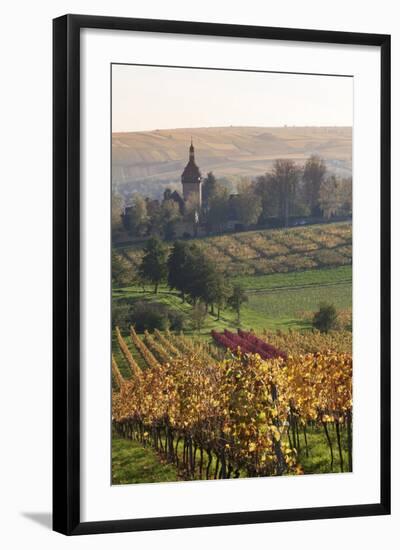 Vineyards in Autumn, German Wine Route, Pfalz, Rhineland-Palatinate, Germany, Europe-Marcus Lange-Framed Photographic Print