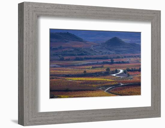 Vineyards in autumn, La Rioja, Sierra De Cantabria, Alava, Basque Country, Spain-Juan Carlos Munoz-Framed Photographic Print