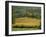 Vineyards in Autumn, Near Arbois, Jura, Franche Comte, France-Michael Busselle-Framed Photographic Print