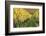 Vineyards in Autumn, Uhlbach, Baden Wurttemberg, Germany, Europe-Markus Lange-Framed Photographic Print