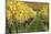 Vineyards in Autumn, Uhlbach, Baden Wurttemberg, Germany, Europe-Markus Lange-Mounted Photographic Print