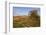 Vineyards in Autumn, Weinstadt, Rems Murr District, Baden-Wurttemberg, Germany, Europe-Markus Lange-Framed Photographic Print