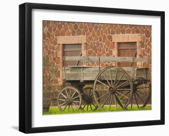 Vineyards in Fall Colors, Juanico Winery, Uruguay-Stuart Westmoreland-Framed Photographic Print