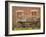 Vineyards in Fall Colors, Juanico Winery, Uruguay-Stuart Westmoreland-Framed Photographic Print