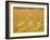 Vineyards in Fall Colors, Juanico Winery, Uruguay-Stuart Westmoreland-Framed Photographic Print